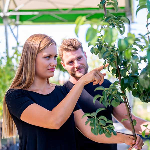 A man and a woman are looking at plants