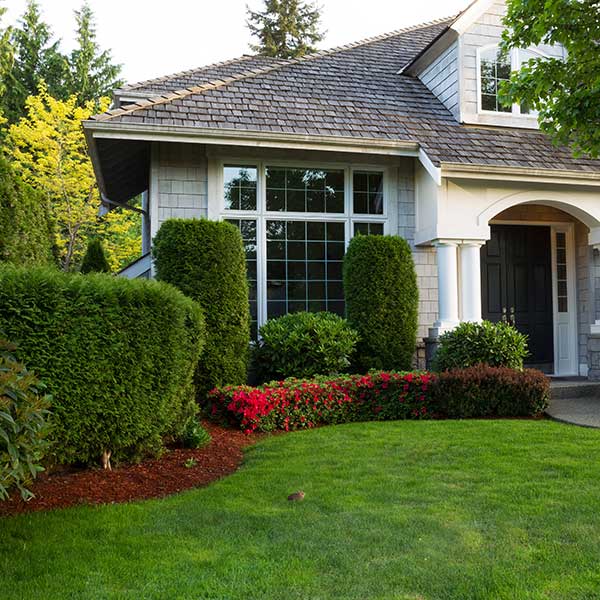 A house with while walls and brown roof and little trees and garden