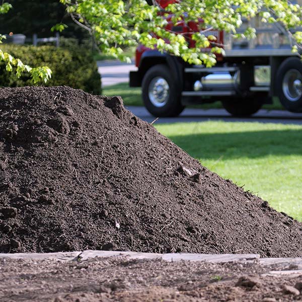 Topsoil-91836571